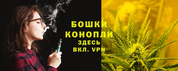 прущие грибы Усмань