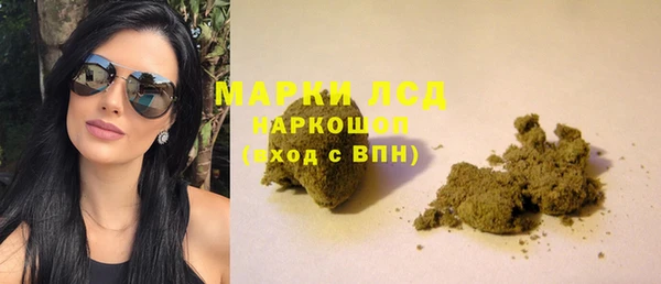 прущие грибы Усмань