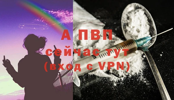 прущие грибы Усмань