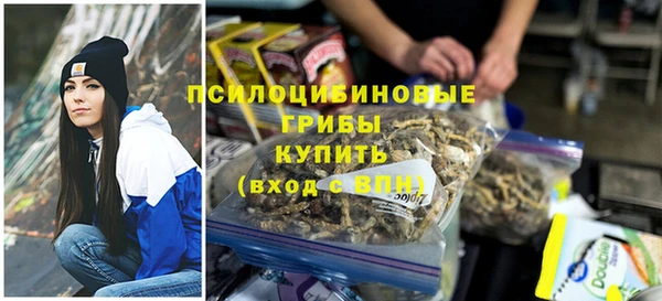 прущие грибы Усмань