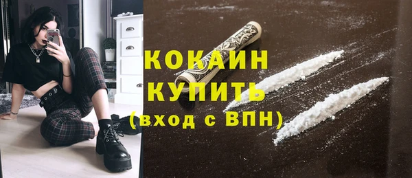 прущие грибы Усмань