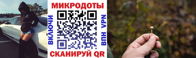 Галлюциногенные грибы прущие грибы  Купить где  Озёрск 