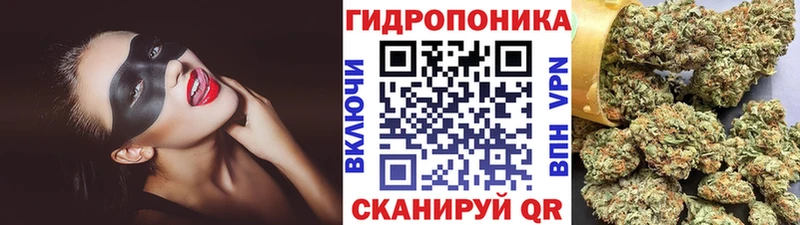 Купить закладки  Озёрск  Бошки марихуана семена 